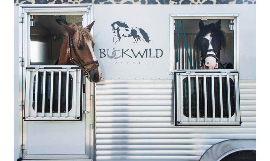 バックワイルド トップ